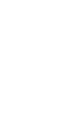 Shape Image